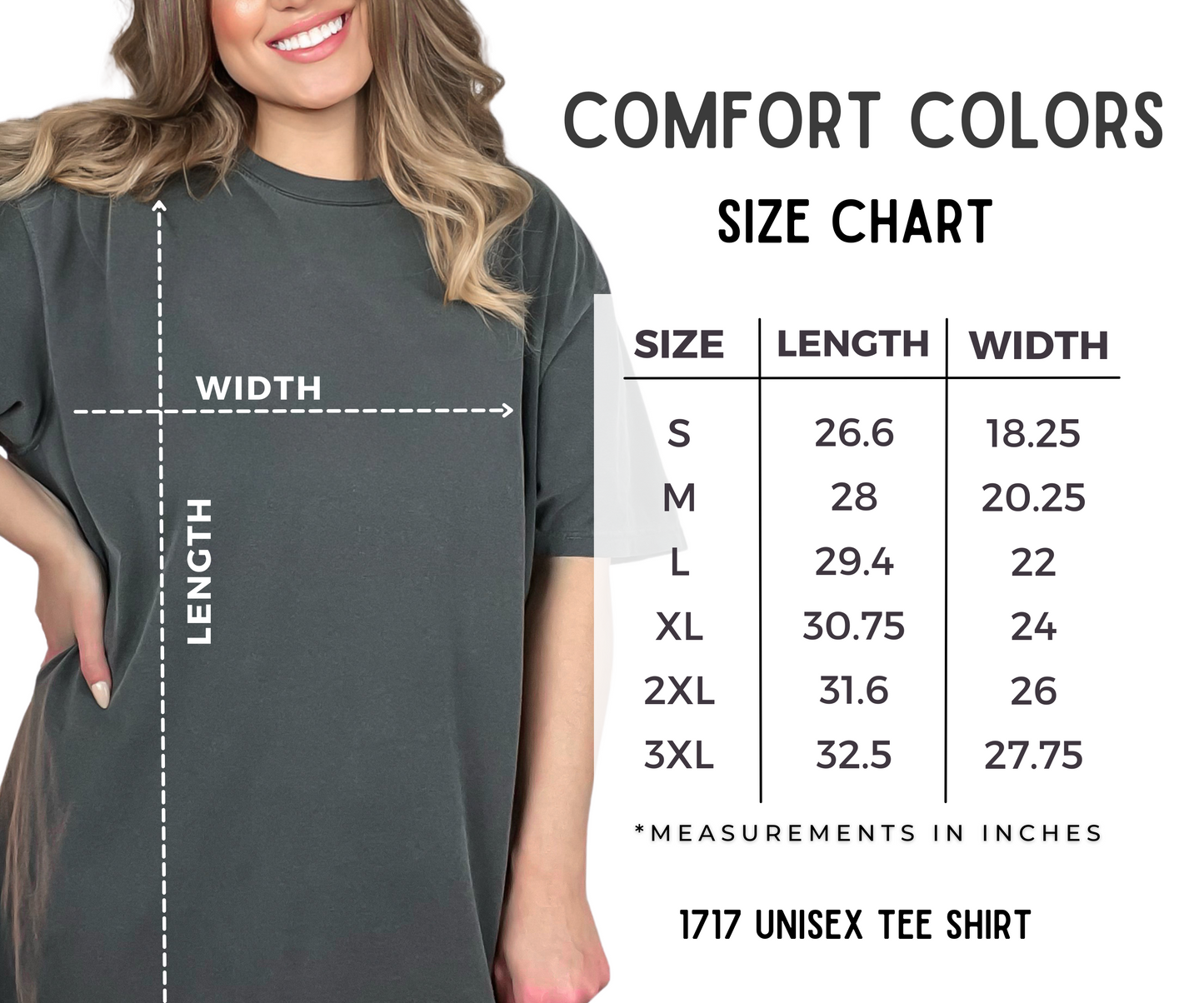 Cursive Idaho Comfort T-Shirt