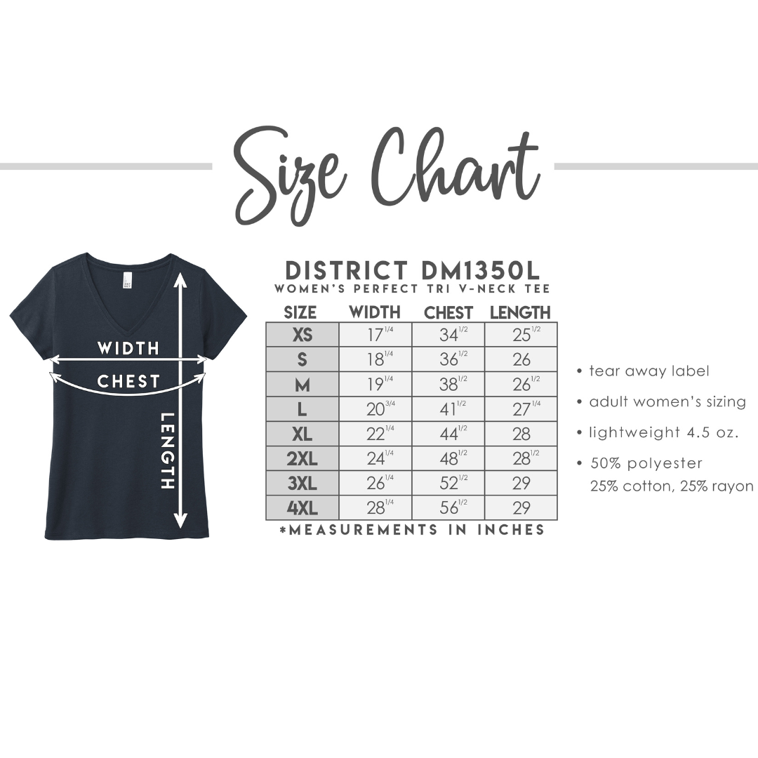 Classy Idaho Women's Ultra Soft Triblend V-Neck Tee
