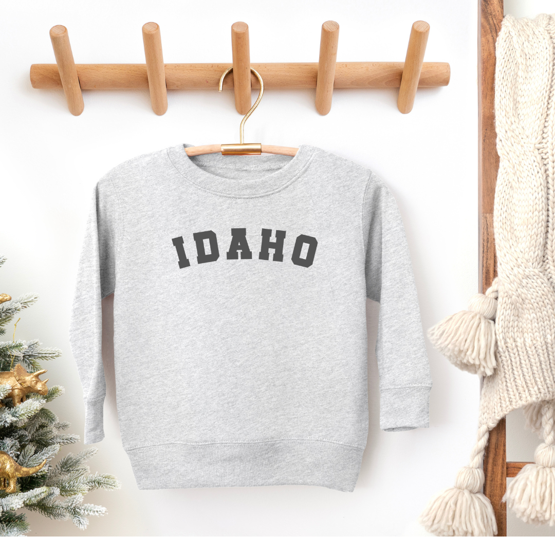 This Idaho sweater has Idaho written on it in gray. This gray sweater is made for Idaho kids, toddler and youth kids. This Idaho sweater is in gray.