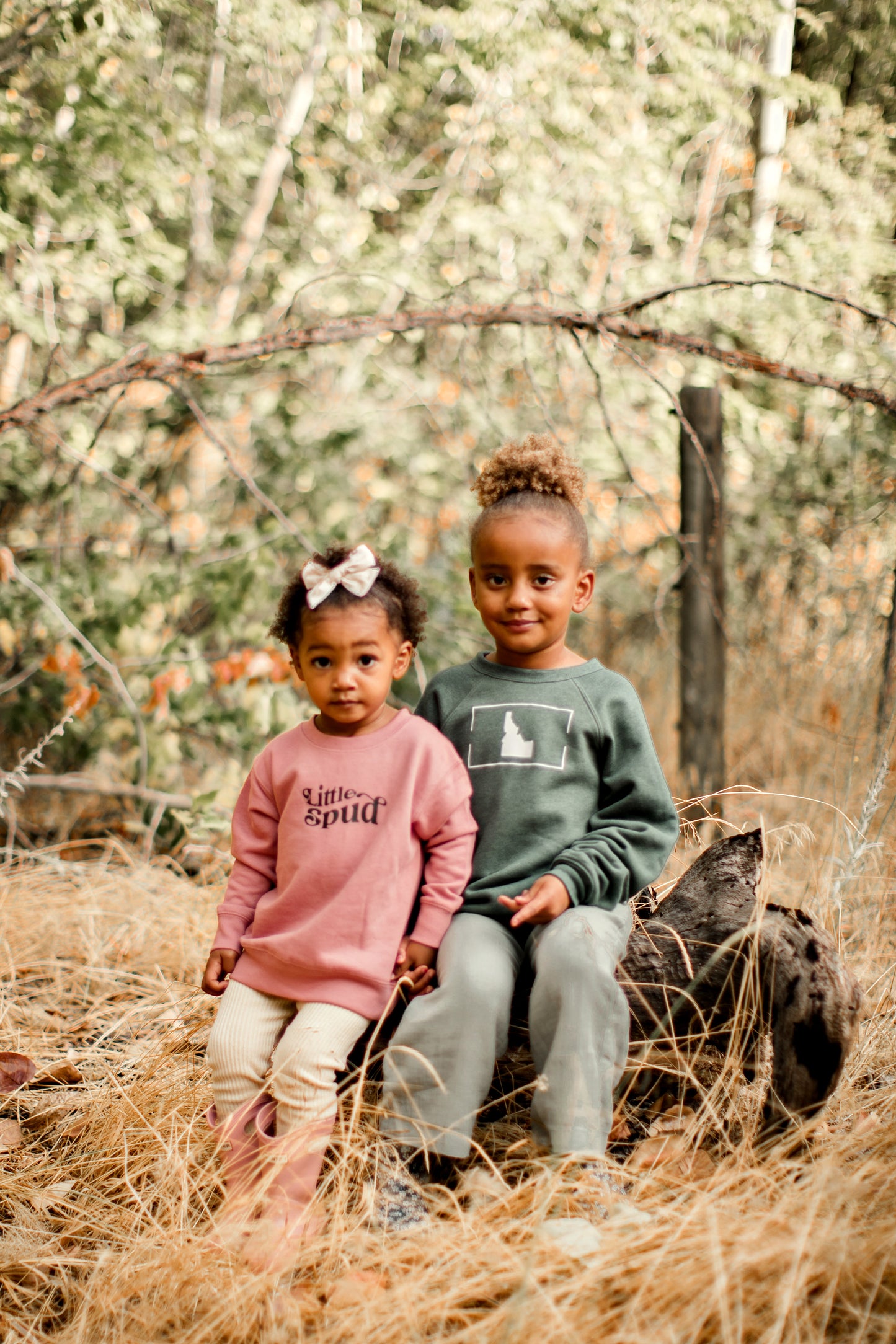 Proud Idahoan Crewnecks(Baby-Youth)