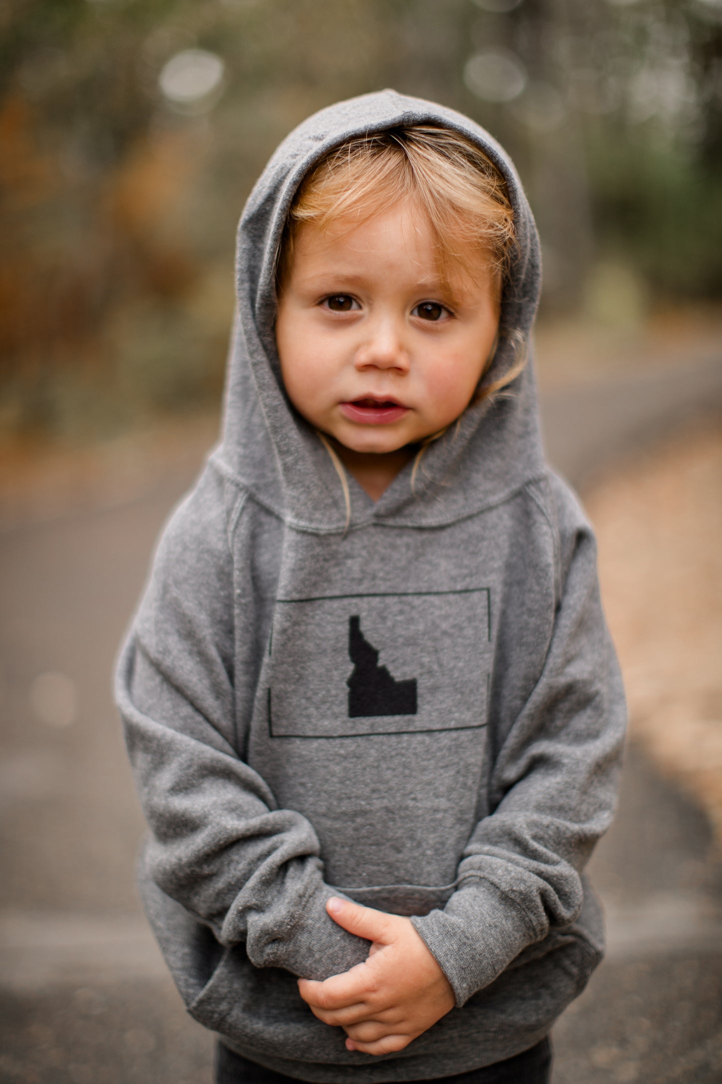 Proud Idahoan Toddler Hoodie