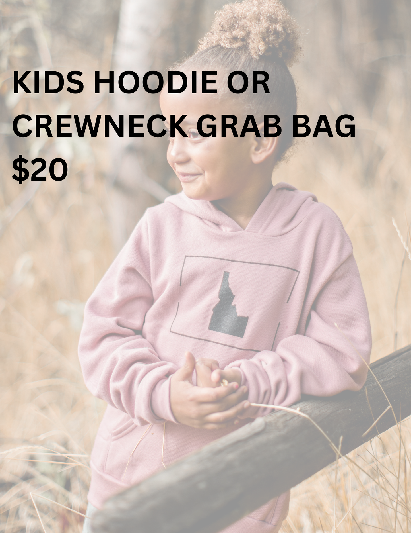 Kids Hoodie/Crewneck Grab Bag