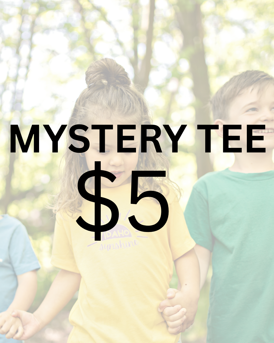 Mystery $5 Tee