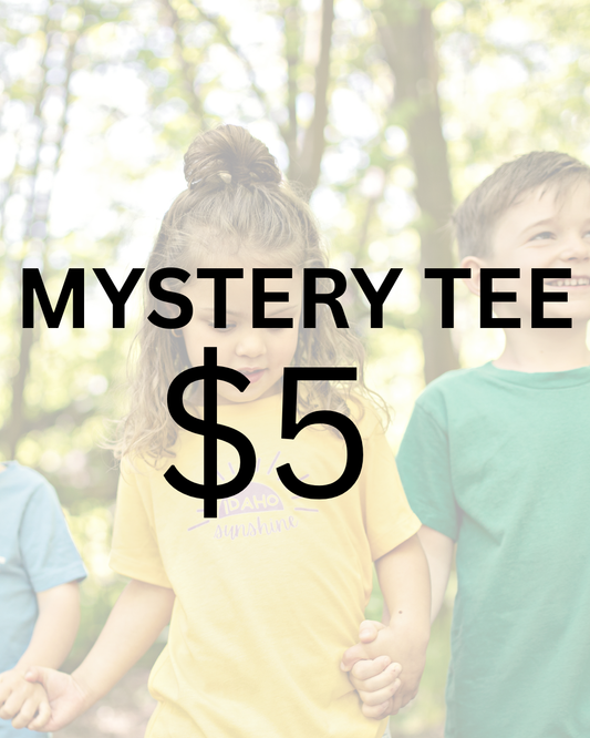 Mystery $5 Tee